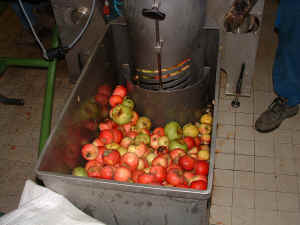 bac_a_pommes1.jpg (61643 octets)