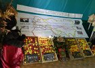 DSCN1285b