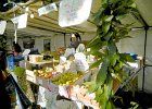DSCN1305b