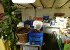 DSCN1306