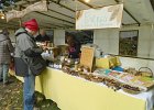 DSCN1307b