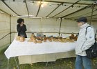 DSCN1309b