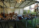 DSCN1310