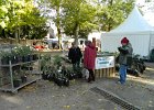 DSCN1317