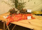 DSCN1342
