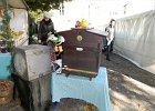 DSCN1343