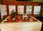 DSCN1346