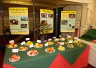 DSCN1350