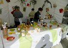 DSCN1354b