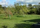 DSCN1362