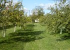 DSCN1363
