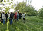 DSCN1365