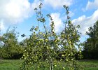 DSCN1368b
