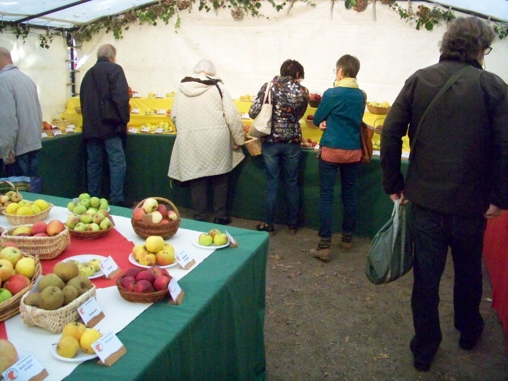 100_9380.jpg