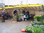 100_9358.jpg