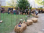 100_9364.jpg