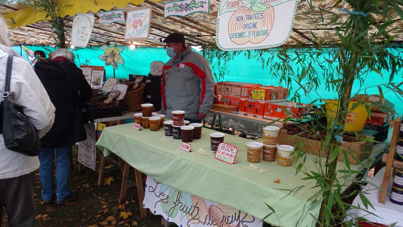 DSC00542.jpg