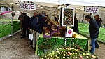 DSC00494.jpg
