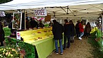 DSC00495.jpg