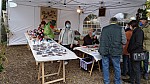 DSC00499.jpg