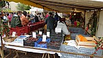 DSC00503.jpg