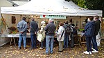 DSC00509.jpg