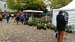 DSC00512.jpg