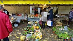 DSC00515.jpg