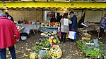 DSC00516.jpg