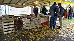 DSC00521.jpg