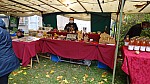 DSC00523.jpg