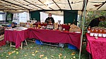 DSC00524.jpg