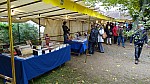 DSC00527.jpg
