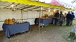 DSC00529.jpg