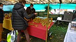 DSC00536.jpg