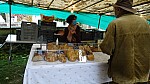 DSC00537.jpg