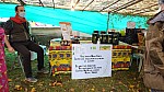 DSC00539.jpg