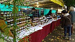 DSC00543.jpg