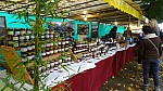 DSC00544.jpg