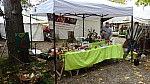 DSC00549.jpg