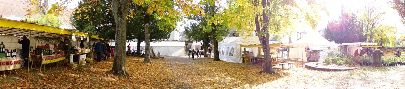 DSC01089.jpg