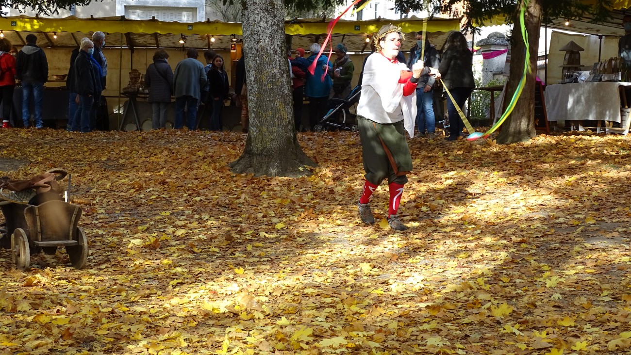 DSC01181.jpg