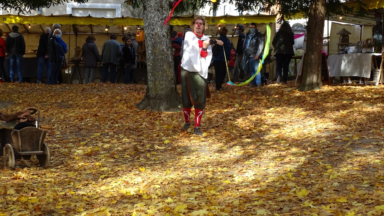DSC01182.jpg