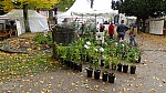 DSC01079.jpg