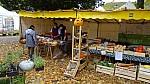 DSC01082.jpg