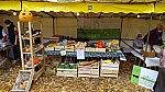 DSC01086.jpg