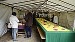 DSC01091.jpg