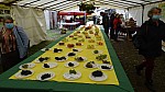 DSC01096.jpg