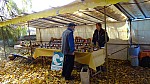 DSC01142.jpg