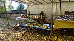 DSC01146.jpg